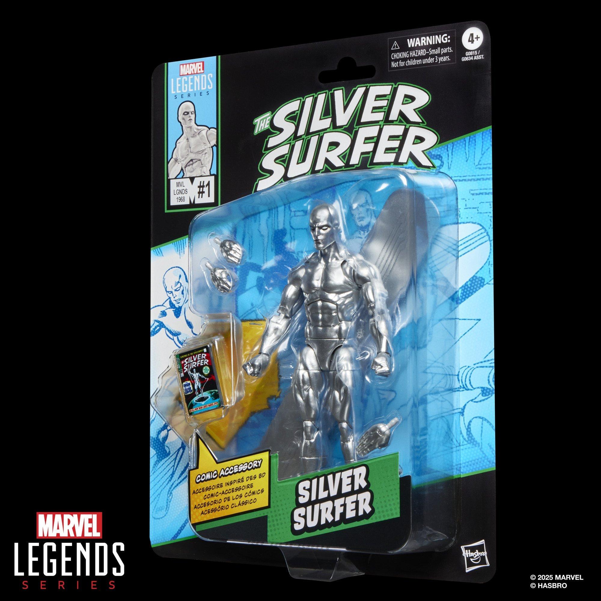 Marvel Legends Series Silver Surfer